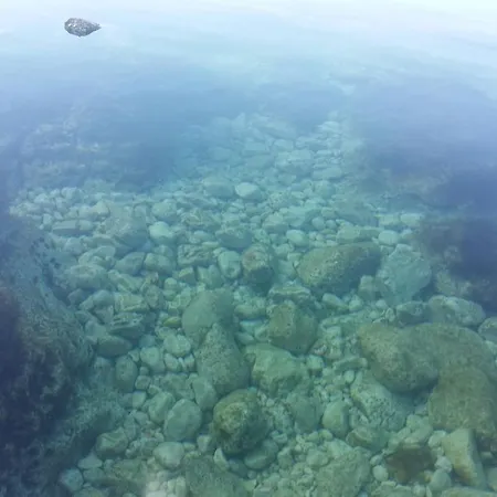 Apartments Max Ražanac